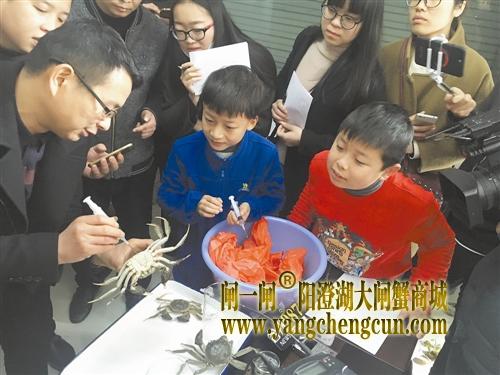 现场实验证实河蟹里注明胶不成立