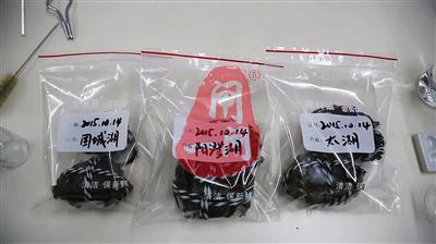 蟹黄传言调查：养殖蟹重金属未现超标