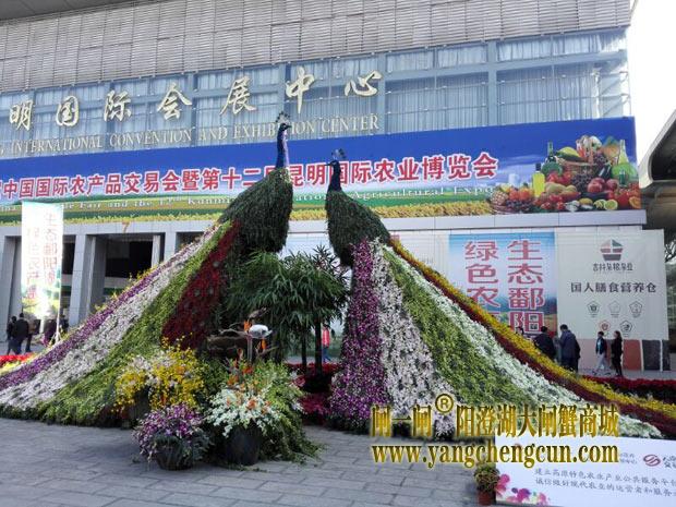 第十四届农交会开幕 江苏两百余种产品亮相昆明