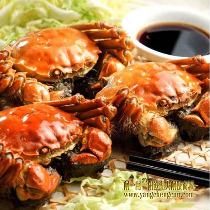 阳澄湖大闸蟹