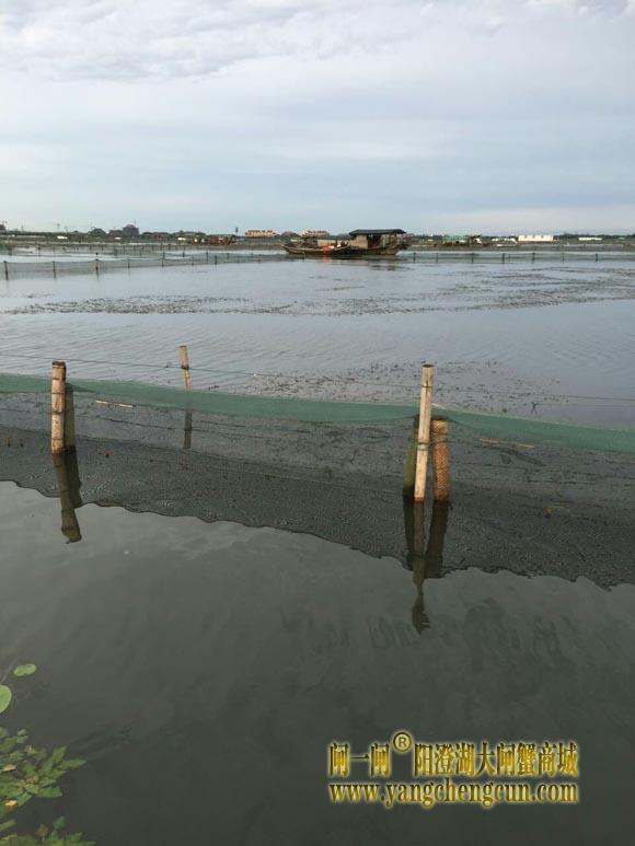养殖场围网的高度