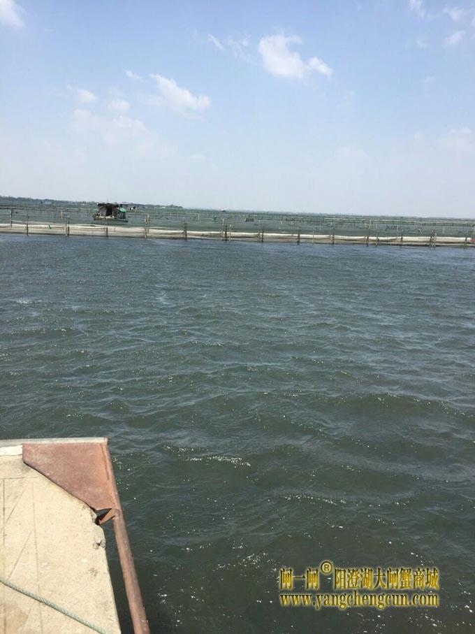 蓝天白云阳澄湖