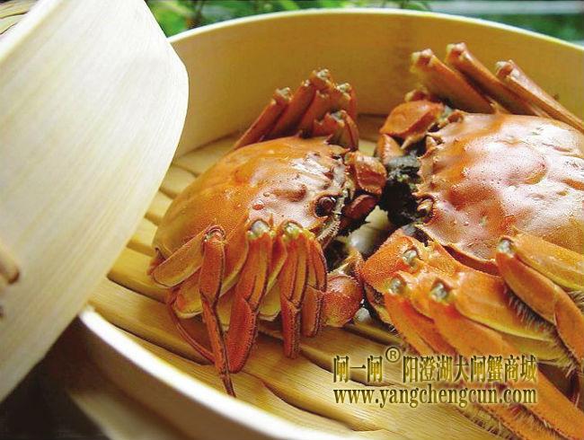 阳澄湖大闸蟹