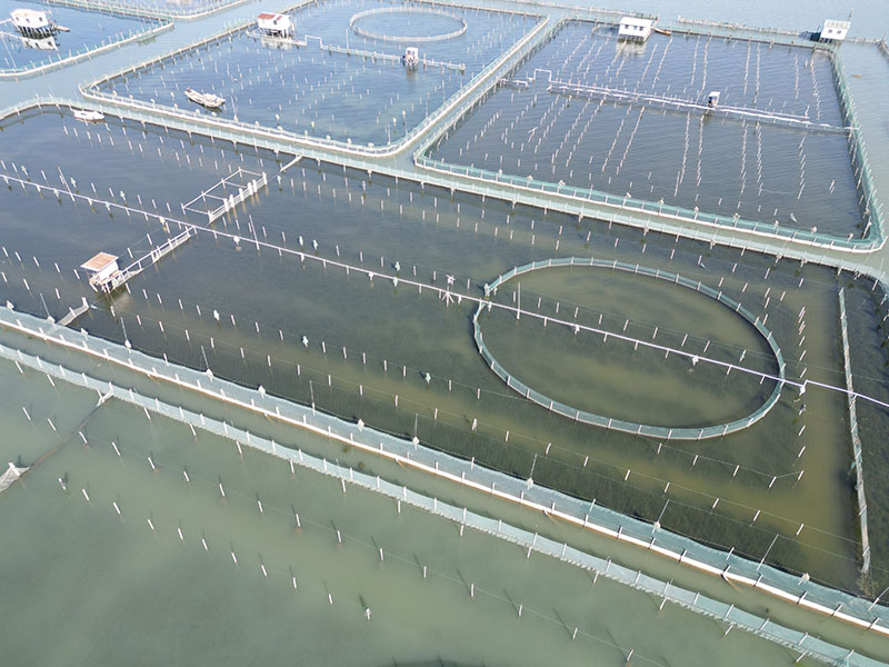 阳澄湖大闸蟹养殖基地