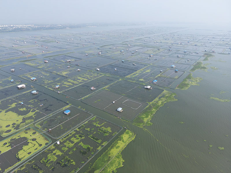 阳澄湖大闸蟹养殖基地
