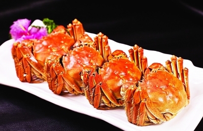 揭秘你所不知道的阳澄湖大闸蟹 