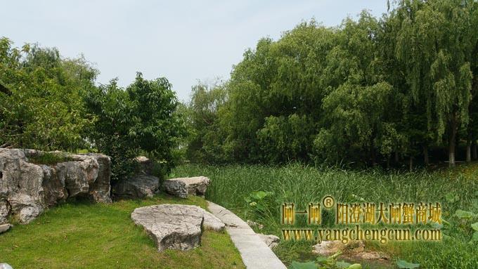 莲池湖公园 (六月)