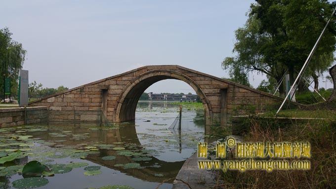 莲池湖公园 (六月)