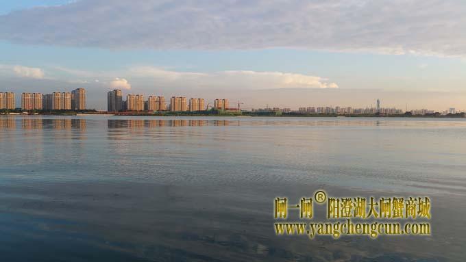 阳澄湖半岛看夕阳西下