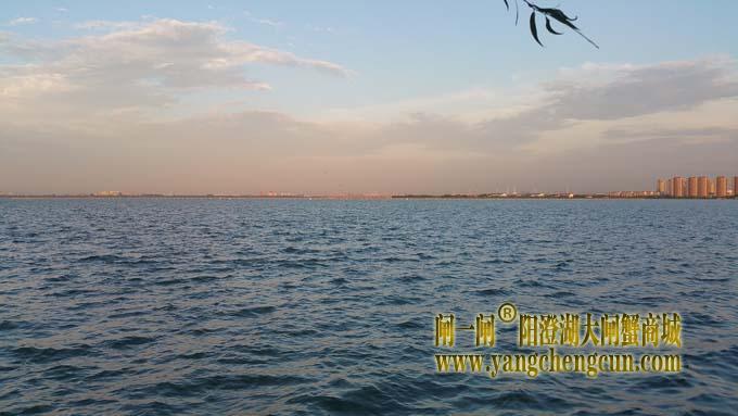 阳澄湖半岛看夕阳西下