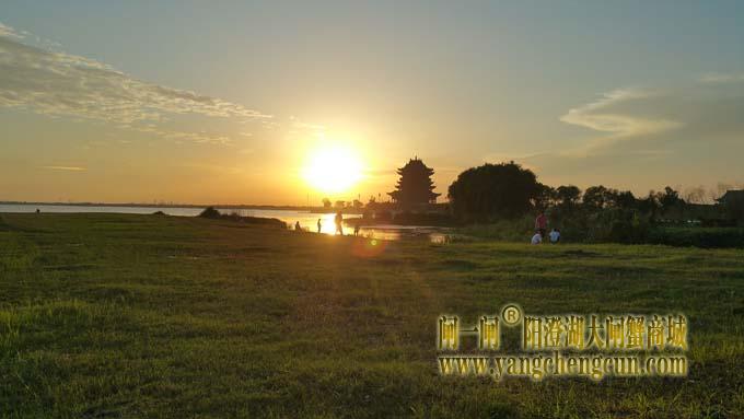 阳澄湖半岛看夕阳西下
