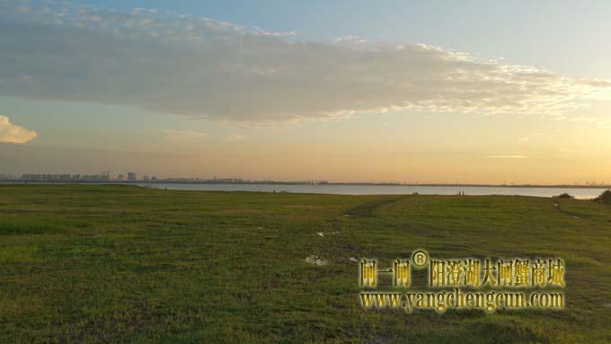 阳澄湖半岛看夕阳西下