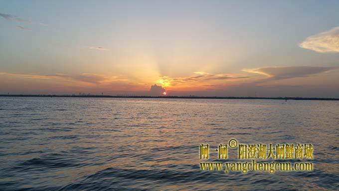 阳澄湖半岛看夕阳西下