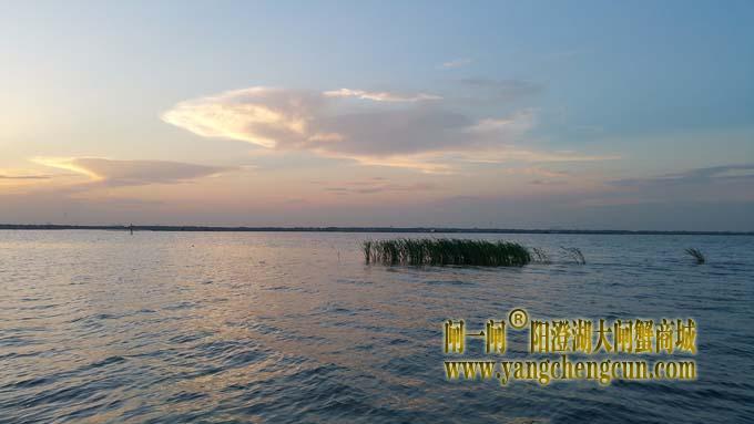 阳澄湖半岛看夕阳西下