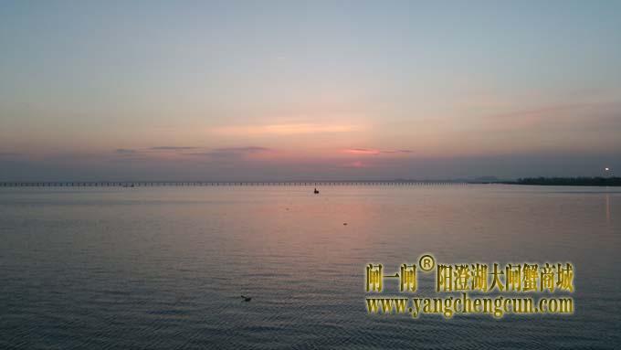 入伏时节看阳澄湖日出