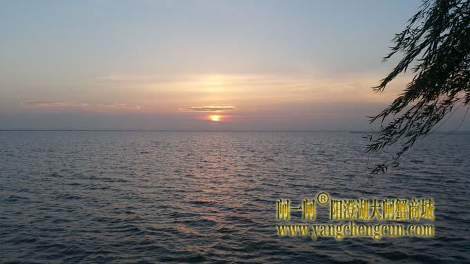 入伏时节看阳澄湖日出