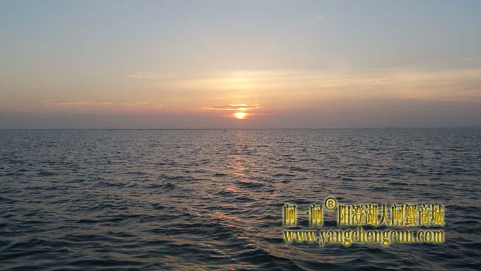 入伏时节看阳澄湖日出