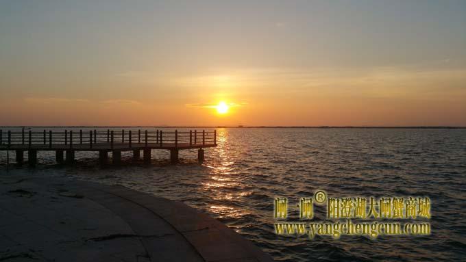 入伏时节看阳澄湖日出