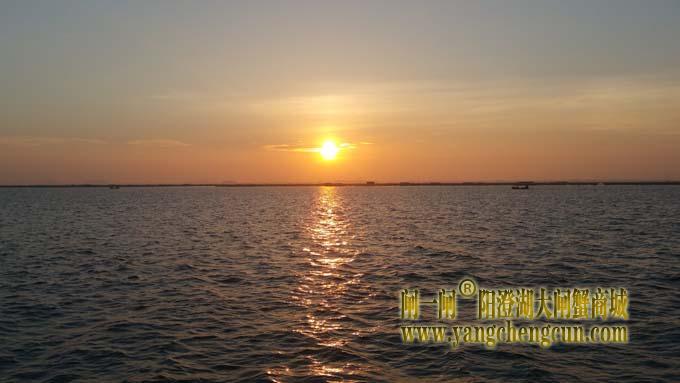入伏时节看阳澄湖日出