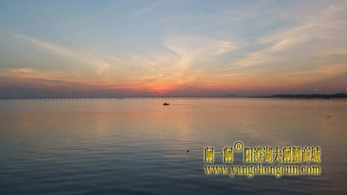 阳澄湖