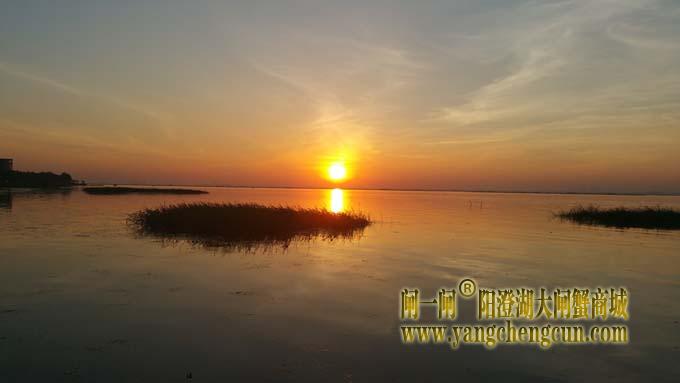 阳澄湖日出