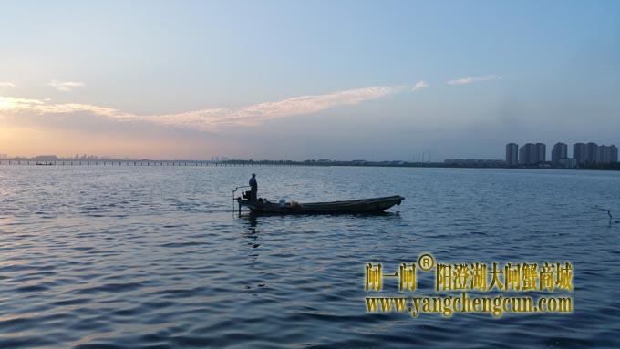 阳澄湖的早晨