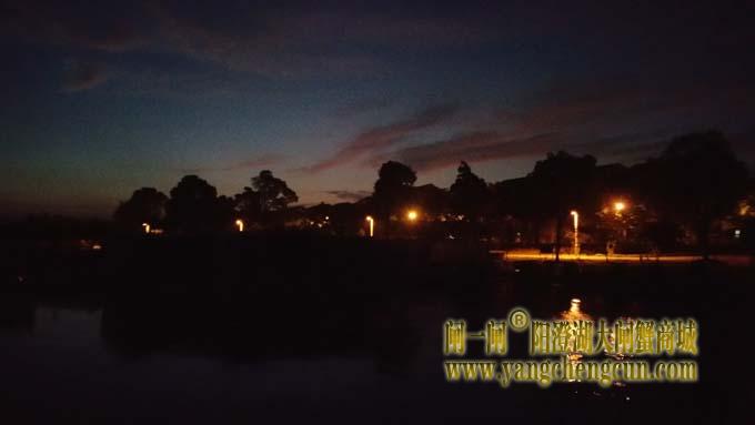 阳澄湖蟹农早行