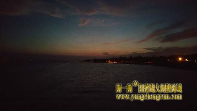 阳澄湖蟹农早行