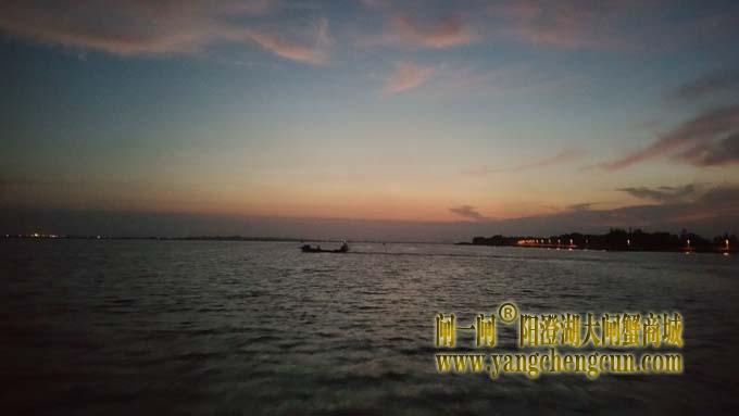 阳澄湖蟹农早行