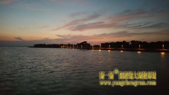 阳澄湖蟹农早行