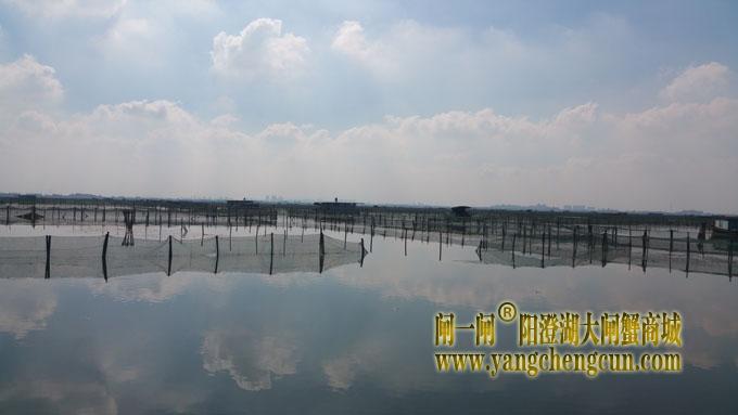 阳澄湖