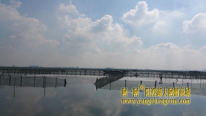 阳澄湖