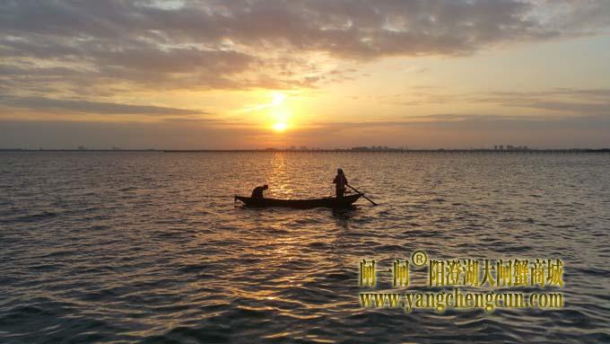 阳澄湖日出