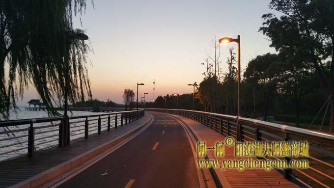 阳澄湖半岛自行车道