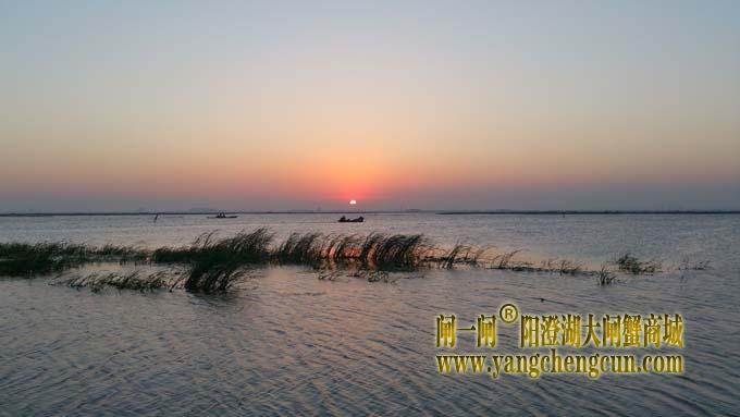 阳澄湖日出