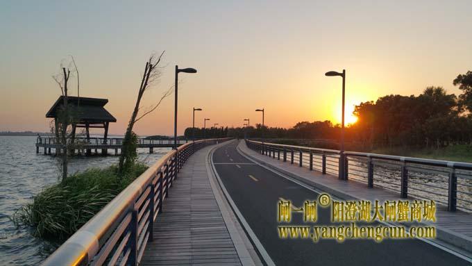 阳澄湖半岛自行车道