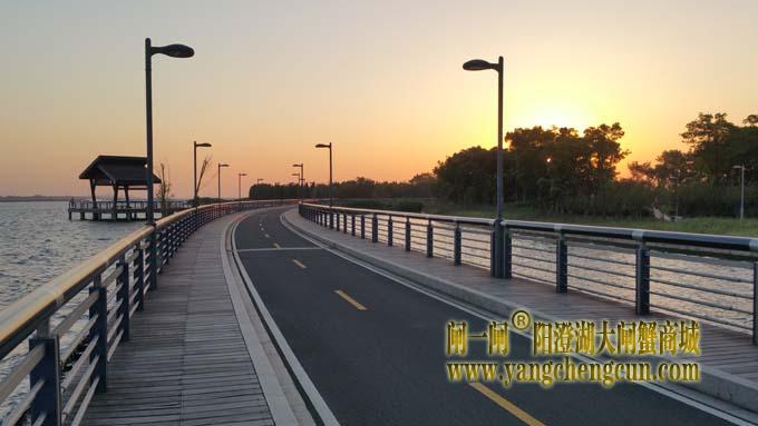 阳澄湖半岛自行车道