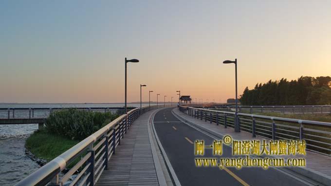 阳澄湖半岛自行车道