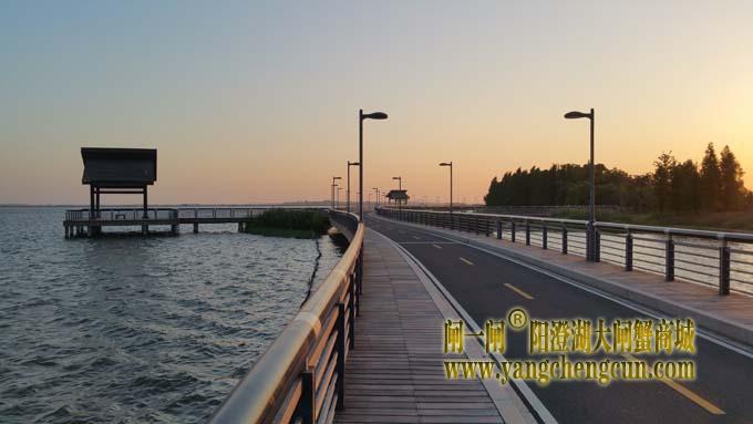 阳澄湖半岛自行车道