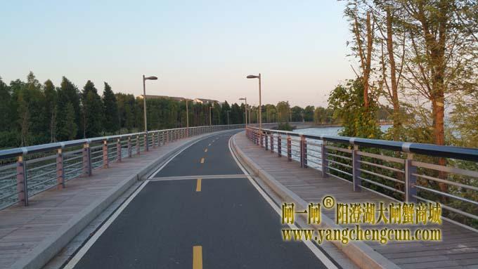 阳澄湖半岛自行车道