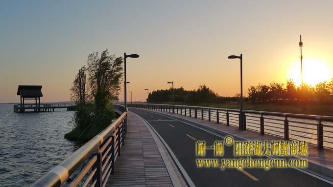 阳澄湖半岛自行车道