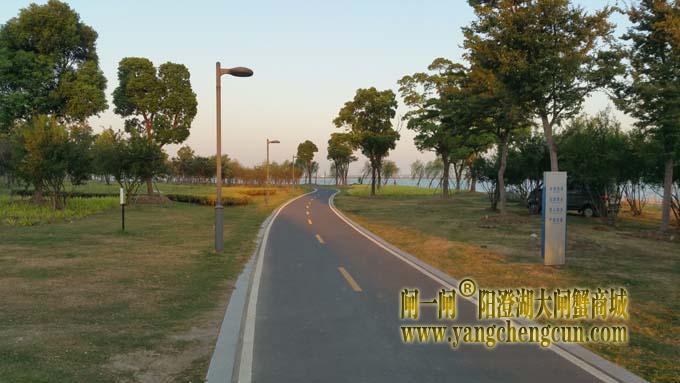 阳澄湖半岛自行车道