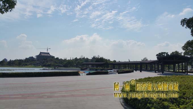 阳澄湖半岛艳阳天