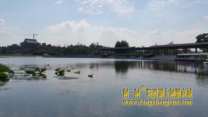 阳澄湖半岛艳阳天