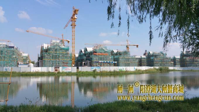 阳澄湖半岛艳阳天