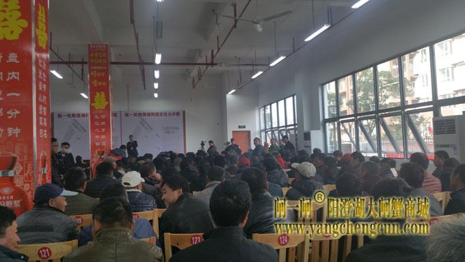 苏州阳澄湖大闸蟹养殖场抓阄现场