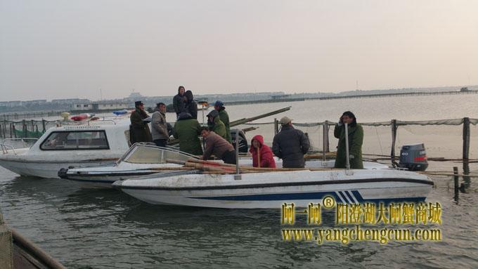 阳澄湖新网围定位