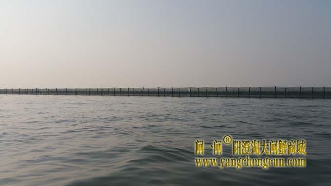 略见雏形的围网