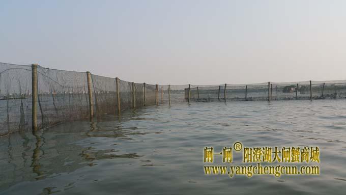 略见雏形的围网