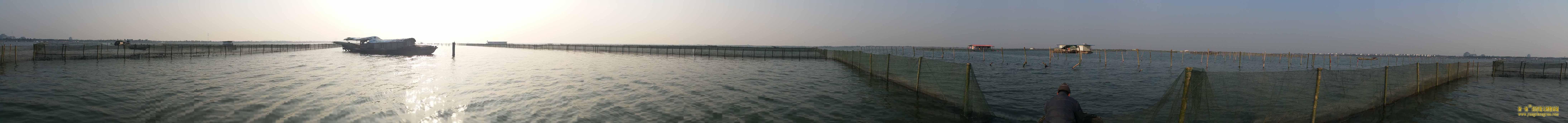 新围网的全景照